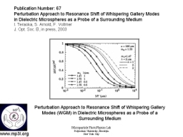 Whispering Gallery Mode Biosensor 004.JPG